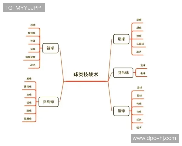西安排球队节奏变革引热议排球战术新思路探讨与分析