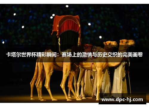 卡塔尔世界杯精彩瞬间：赛场上的激情与历史交织的完美画卷